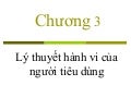 Lý thuyết hành vi người tiêu dùng  chuong iii