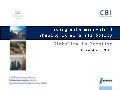Living with Minerals 4 - Shaping UK minerals policy - Part 1