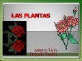 Las Plantas