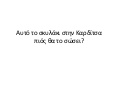 Who will save this dog? Αυτό το σκυλάκι στην Καρδίτσα ποιός θα το σώσει?