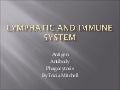 Lymphatic And Immune System