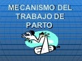 M E C A N I S M O D E L T R A B A J O D E P A R T O