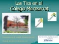 Diego Martín Fernández - "Las Tic en el Colegio Montserrat de Madrid"