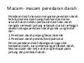 Macam  macam peredaran darah