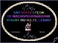 Macro photo graphie 21 05-2012