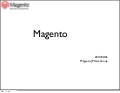 Magento20100226