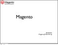 Magento20100313