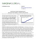 Magnaglobal online advertising forecast   june 2010
