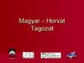 Az MKIK Magyar-Horvát Tagozatának szolgáltatásai, gyakorlati tapasztalatok