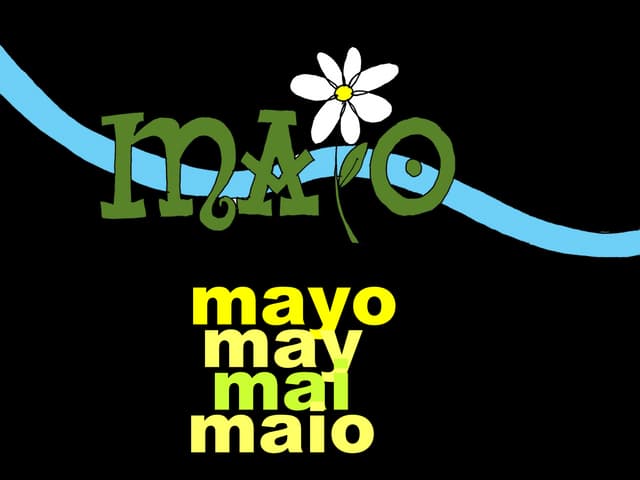 Maio 2013