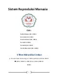 Makalah sistem reproduksi manusia