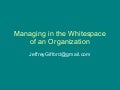 Managing in the whitespace of your organization