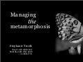Managing The Metamorphosis