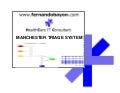 Manchester Triage System Fernando Bayon