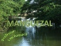 Manguezal