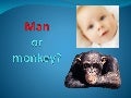 Man or monkey_a