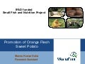 IFAD funded Small Fish and Nutrition Project - Promotion of Orange Flesh Sweet Potato