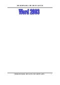 Manual De Word