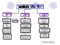 Mapa Conceptual   Ciclos De La Ebr
