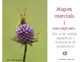 Mapes mentals i conceptuals