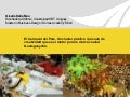 Eventos culturales espontáneos como Clusters para el Citymarketing