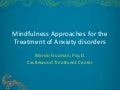 Mindfulness- Marcio Guzman, Ph.D