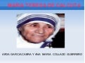 Maria teresa de calcuta