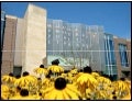Mount Prospect Public Library