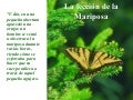 Mariposa