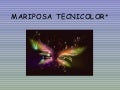 Mariposa tecnicolor liliana siffredi