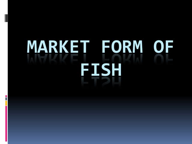 Different Market Forms of Fish