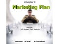 Marketing Plan Final