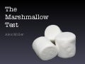 Marshmallow Test