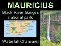 Mauricius - Black River Gorges national park + Waterfall Chamarel - 2012