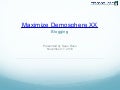 Maximize Demosphere XX - Blogging