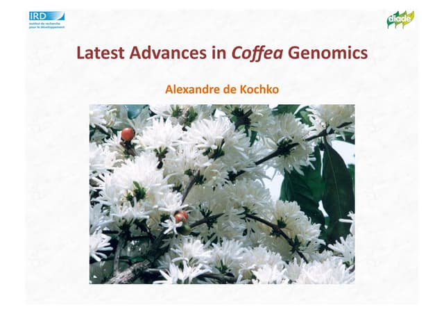 Latest Advances in Coffea Genomics