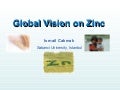 Global Vision on Zinc