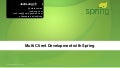 Multi Client Development with Spring