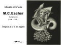 M.C.Escher Impossible Images 