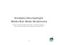 Medialets Data Spotlight - Mobile Rich Media Benchmarks Report Jan/Feb 2011