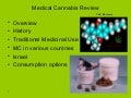 Medical Cannabis Conference in Israel