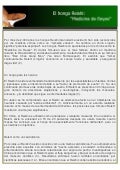 Ganoderma Lucidum: Medicina de Reyes