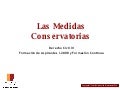 ENJ-4-400 Medidas Conservatorias