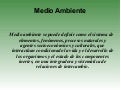Medio ambiente