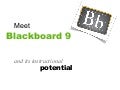 Meet Blackboard 9