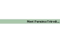 Resume: Purnima Trivedi