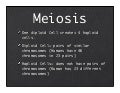Meiosis