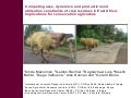 Competing uses, dynamics, and production and utilization constraints of crop residues in East Africa: Implications for conservation agriculture