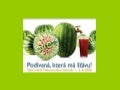 MelounováNí