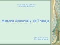 Memoria Sensorial Y De Trab
